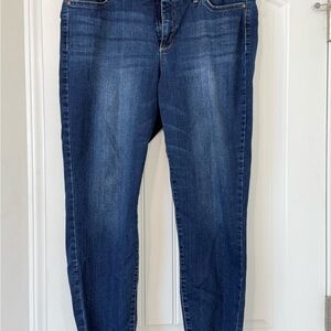 Vintage America Blues Stretch Skinny Jeans
